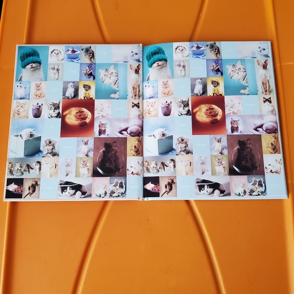 NWOTs ~ My Cat Record Book ~ - Picture 4 of 14